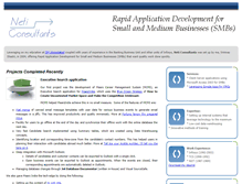 Tablet Screenshot of neticons.biz
